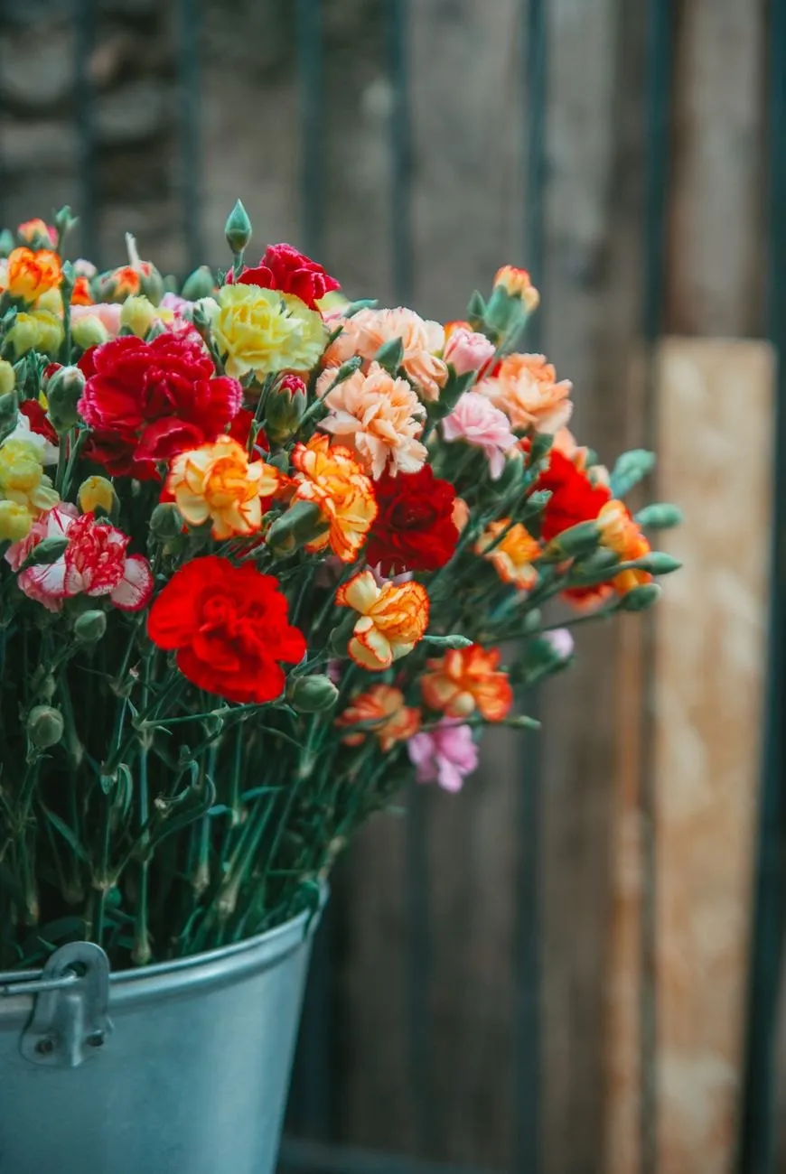 A zinc bucket of red, orange, coral and yellow carnations